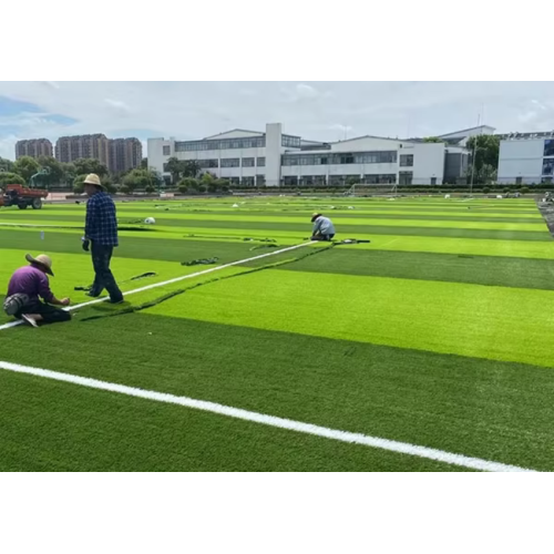 50 мм производитель Высококачественная синтетическая искусственная трава плотности Dtex для футбольного поля