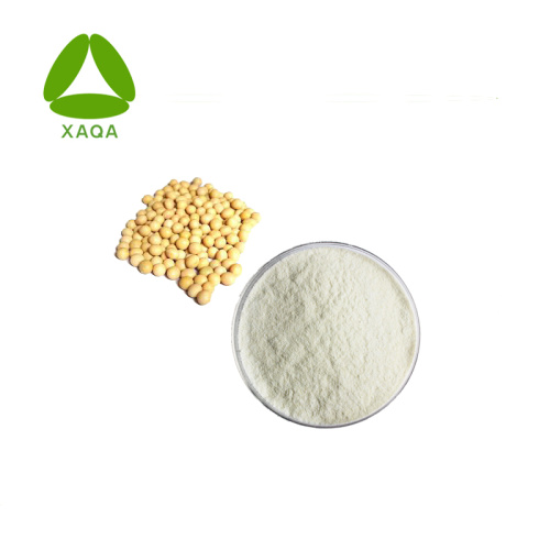 Super Root Powder Soybean Extract phytosterol 95% Powder Manufactory