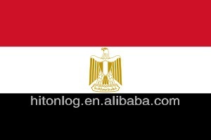 CHINA to EGYPT Sea Freight Service