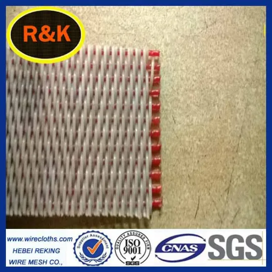 2-shed polyester dryer fabric/conveyor belt Ultra fine quality