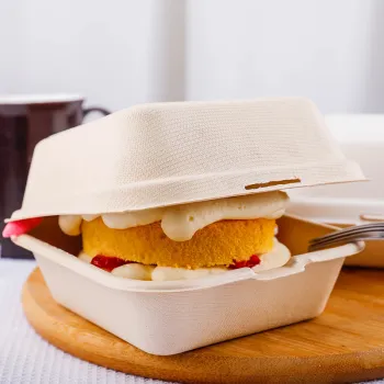  Microwave Safe Sugarcane Cake Containers and Lunch Boxes 