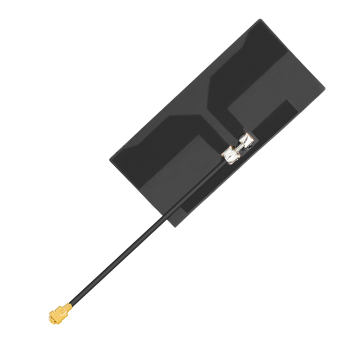 Internal FPC antenna