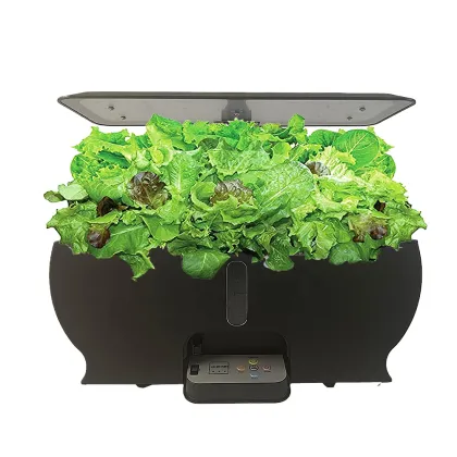 Indoor Herb Garden Kit: Hydroponic System with LED