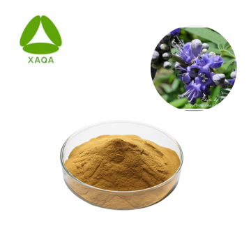 Chaste Berry Extract Vitex Extract Powder Vitexin 3%