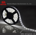 Bande de LED Etanche SMD5050 LED bande lumineuse