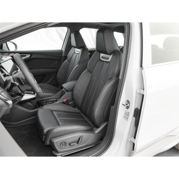 AudiQ4 e-tron Lexury Electric SUV Car