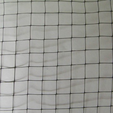 Extruded Plastic Anti Bird Netting