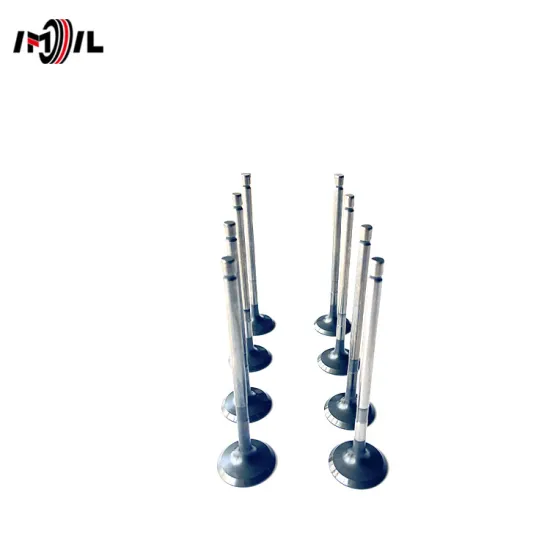 IMIL Brand 13715-24040 Discharge Valve for Multiple Toyota Models