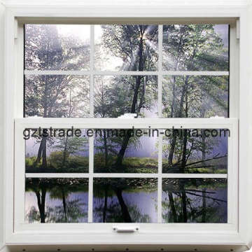 Single Hung Window with Double Glazing