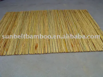 Bamboo fence Sun-018