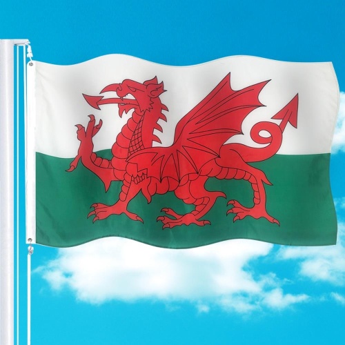 promotional 3x5 custom printing Wales flag
