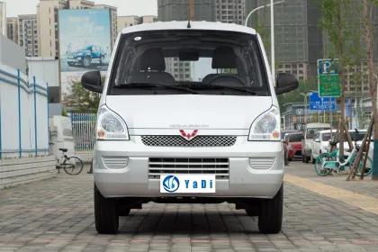 Electric Cargo Van Wuling Rongguang EV 300km Range 100km/h