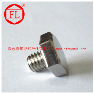 Bleed screw 304 316