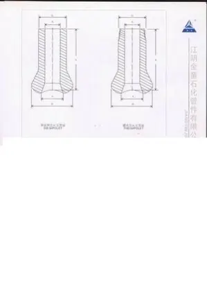 CS A105 Steel Nipolet Fittings