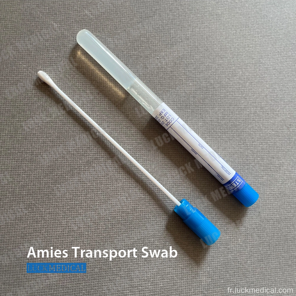 Achetez en gros Tube De Transport Universel à écouvillon En Mousse De  Collecte De Salive Jetable Chine et écouvillon En Mousse à 1.45 USD