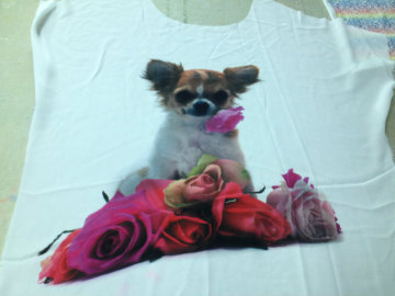 Digital Cotton Textile Printer (Colorful 1225)