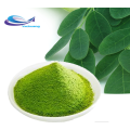 Натуральный экстракт травы листьев моринга Moringa Oleifera