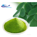 Extrait d&#39;herbe naturelle Feuilles de Moringa Moringa Oleifera