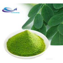 Strong Antioxidant Product Moringa Leaf Extract Moringa