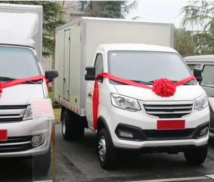 Changan Leap Electric Mini Truck Pure Electric box mini truck