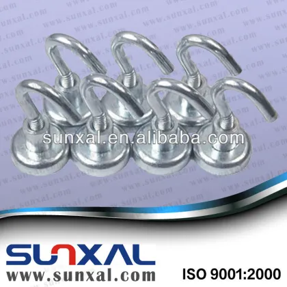 Strong NdFeB Magnet Hooks