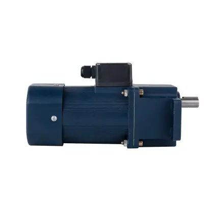90W Micro AC Single Phase Helical Gear Motor