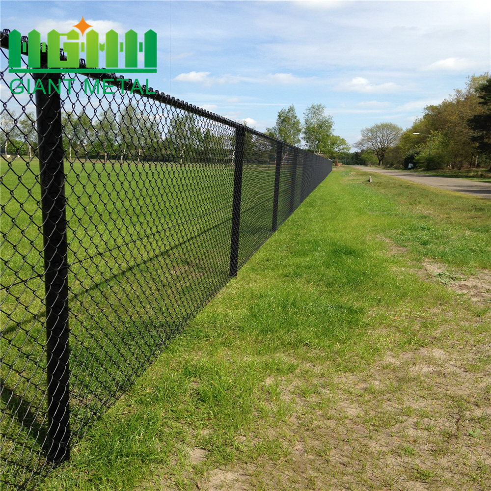 Cheap Diamond Cyclone PVC Chain Link Fence