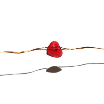 Red hear shaped wedding string lights