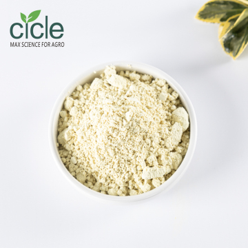 Thidiazuron 97%TC TDZ Plant Growth Regulator