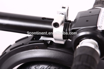 Technology 2 Wheel Self Balance Electric Scooter