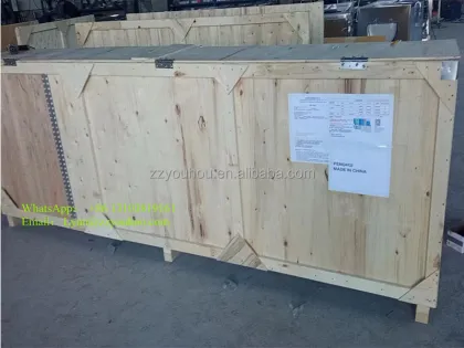 Automated Date Sorting and Grading Machine for Palm Dates and Red Dates