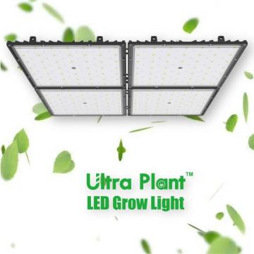 365nm Dimmable फुल स्पेक्ट्रम कमर्शियल ग्रो लाइट