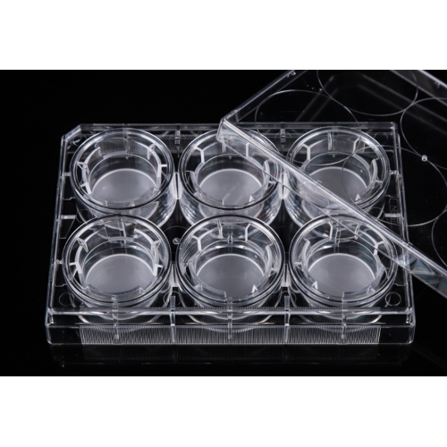 PC Memberane Cell Culture Inserts for 6-well plates