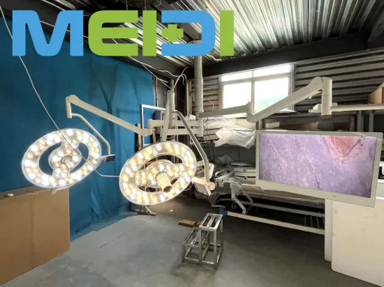 Elite LED700/500 HD Surgical Shadowless Lamp with Large Display