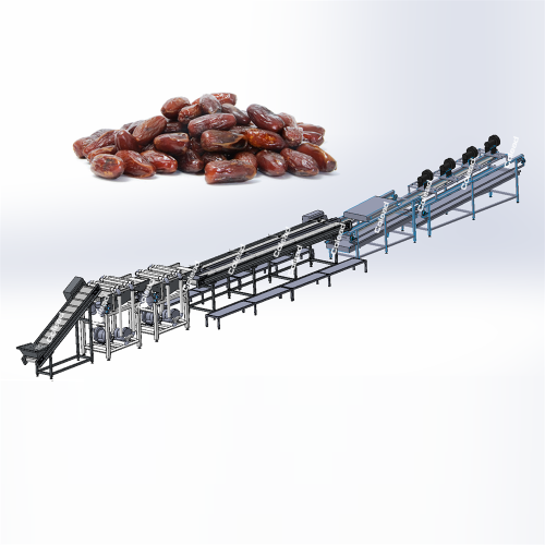 Línea de máquina de procesamiento de fechas de palma de Egipto industrial