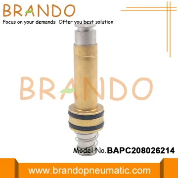 Automobile Solenoid Valve Armature Assembly