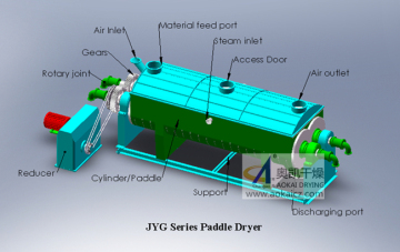 Paddle Dryer