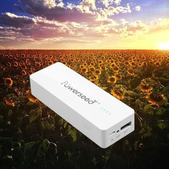 Free Customized Logo Private Mould 5200mAh Power Bank For Smart Phones