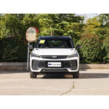 Geely Coolray Binyue汽油车