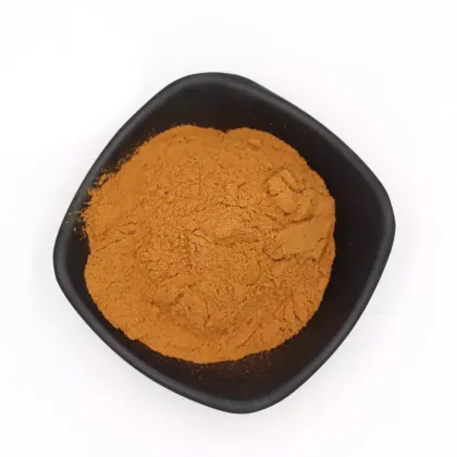 CNCSBIO bulk chaga mushroom extract powder