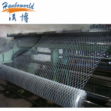 Chicken wire mesh/hexagonal wire netting supplier