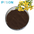 High quality St.John`s Wort Extract powder