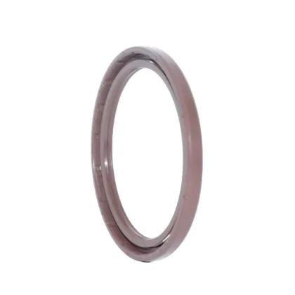 BAFSL1SF SAI Hydraulic Motor Gaskets & Oil Seals