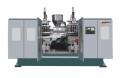 Αυτόματη κατακόρυφη έγχυση Blow Molding Machine