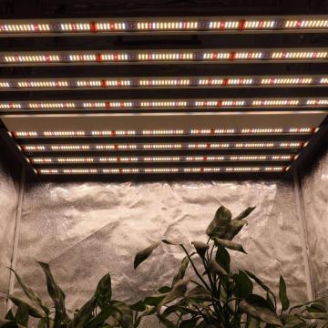 640W LED Grow Light UV IR Bar