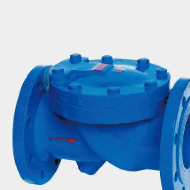 Rubber Disc Check Valve