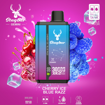 คลังสินค้าของสหภาพยุโรป Stagbar Gemini 30k พัฟ