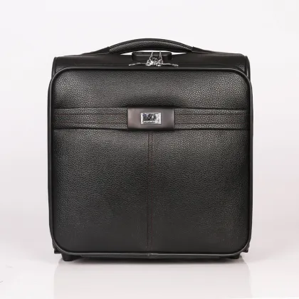 Vintage Gorgeous  All color PU Trolley Luggage