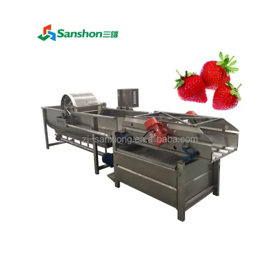 China Industry Bubble Type Washer for Berries and Fruits