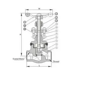 Class 800 Forged Steel Globe Valve